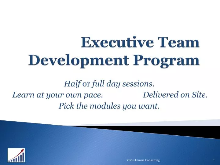 executive team development program