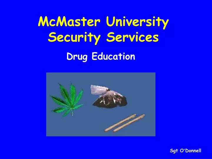 mcmaster university security services