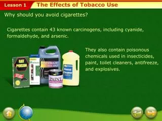 The Effects of Tobacco Use