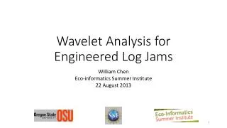 Wavelet Analysis for Engineered Log Jams