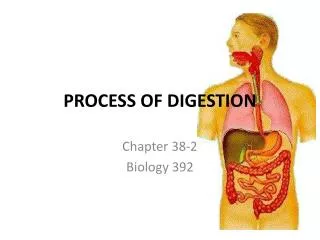 PROCESS OF DIGESTION