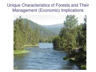 Unique Characteristics of Forests and Their Management (Economic) Implications