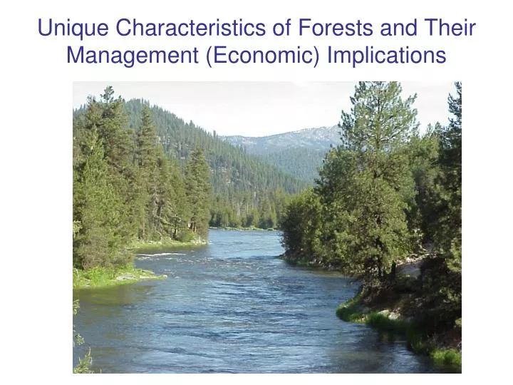 unique characteristics of forests and their management economic implications