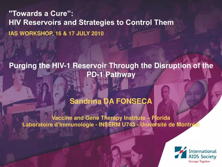 towards a cure hiv reservoirs and strategies to control them ias workshop 16 17 july 2010