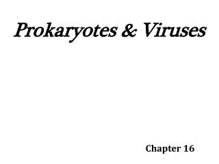 Prokaryotes &amp; Viruses