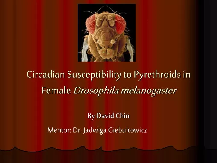 circadian susceptibility to pyrethroids in female drosophila melanogaster