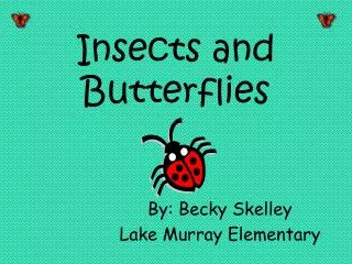 Insects and Butterflies