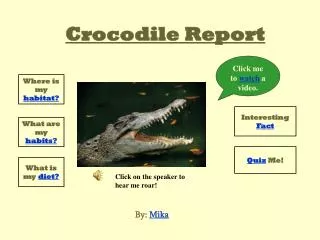 Crocodile Report