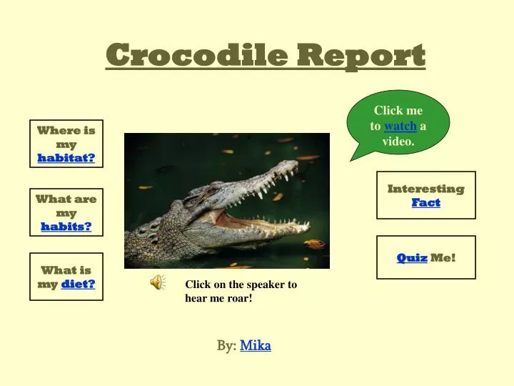 crocodile report