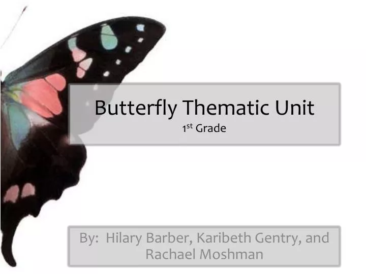 butterfly thematic unit 1 st grade