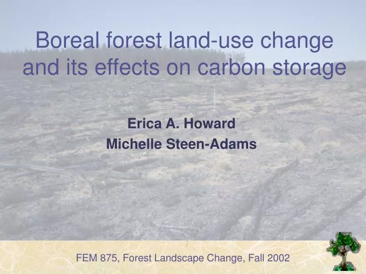 boreal forest land use change and its effects on carbon storage