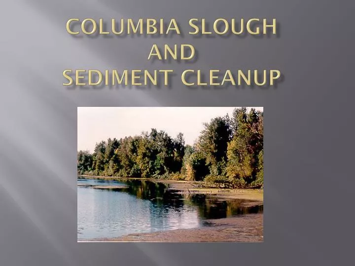 columbia slough and sediment cleanup