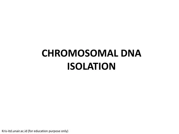 chromosomal dna isolation