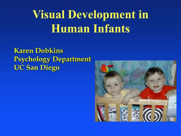 visual development in human infants