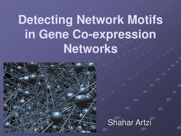 detecting network motifs in gene co expression networks