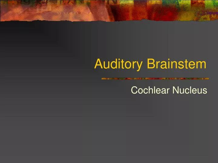 auditory brainstem