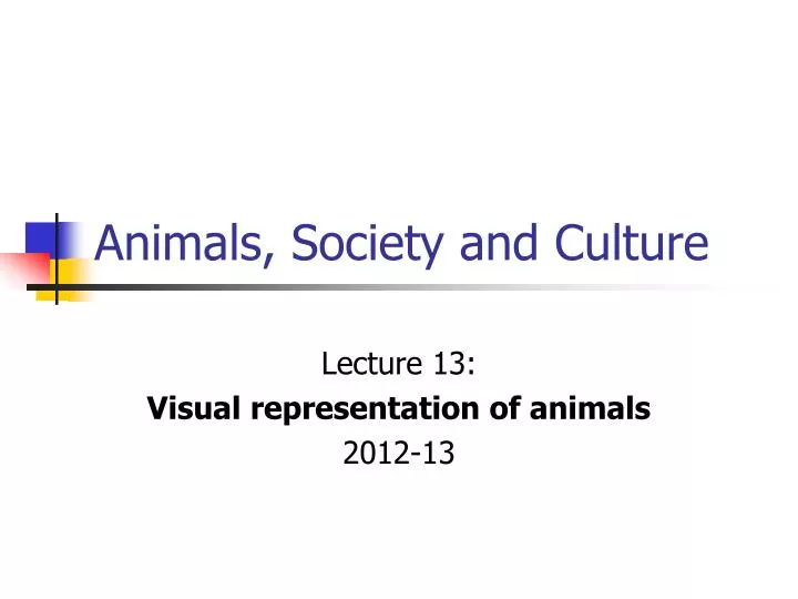 animals society and culture