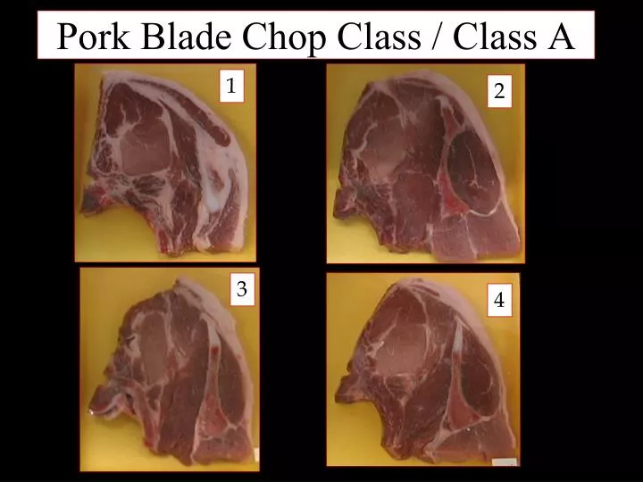 pork blade chop class class a