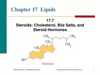 Chapter 17 Lipids