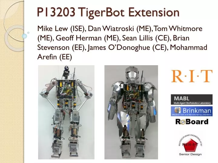 p13203 tigerbot extension