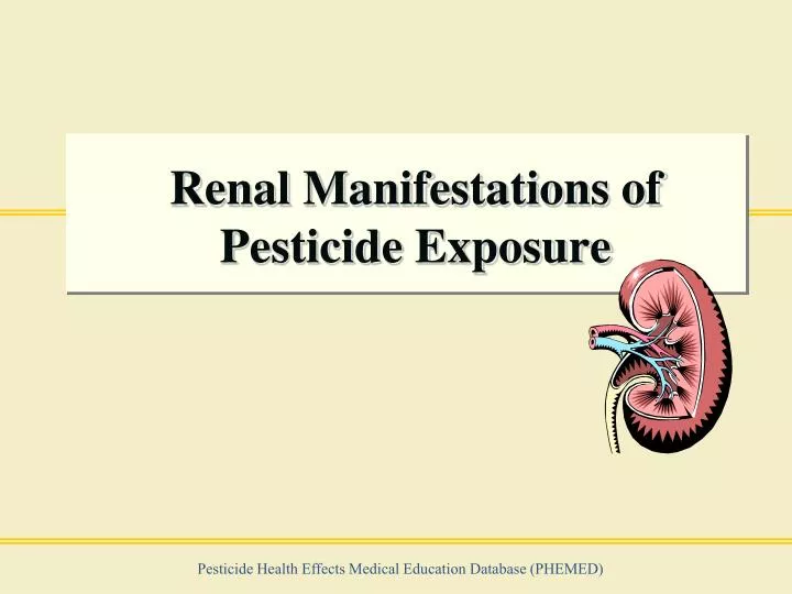 renal manifestations of pesticide exposure
