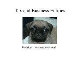 Tax and Business Entities