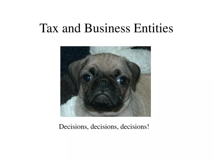 tax and business entities