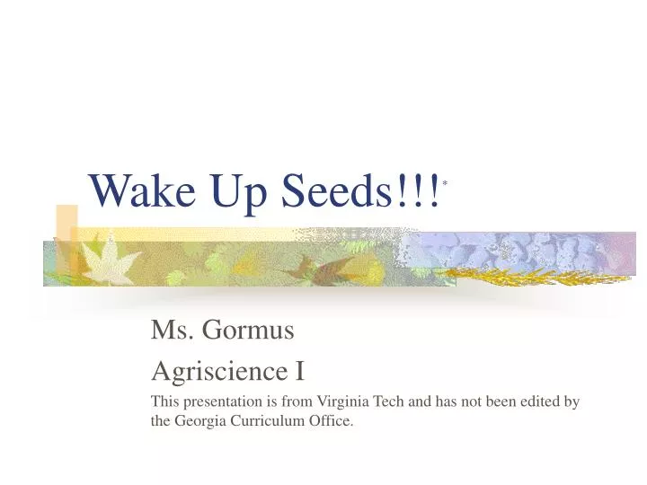 wake up seeds