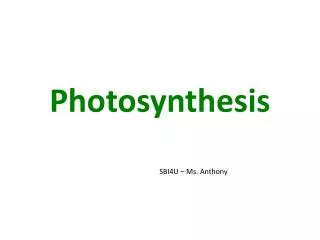 Photosynthesis