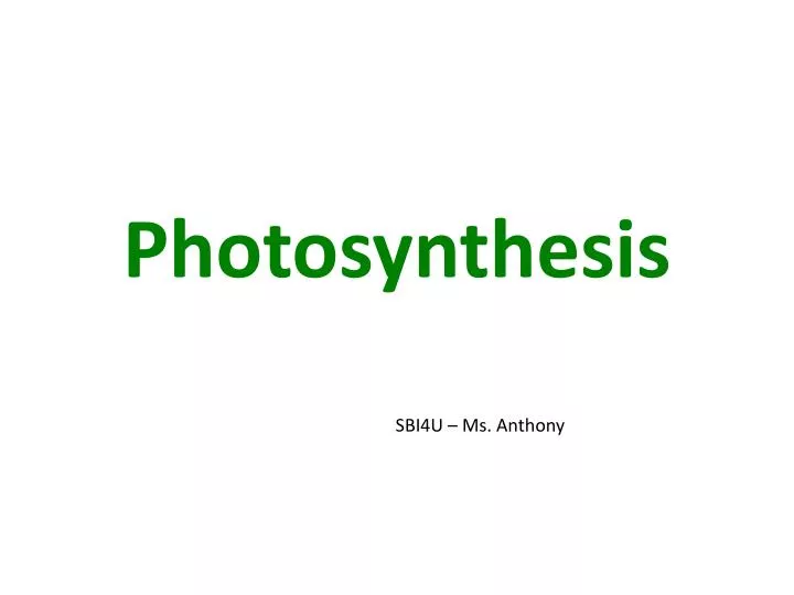 photosynthesis