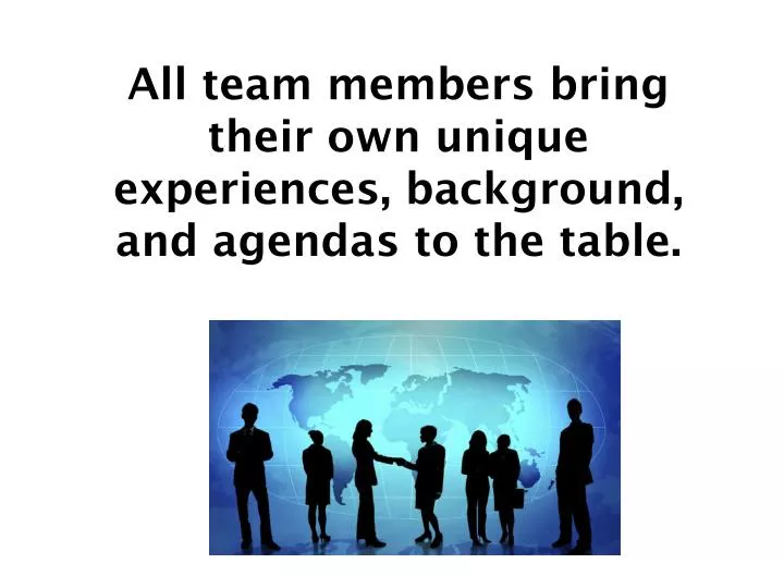 all team members bring their own unique experiences background and agendas to the table