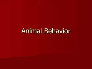 Animal Behavior