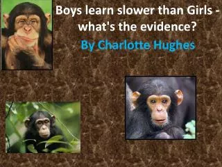 Boys learn slower than Girls -what's the evidence?