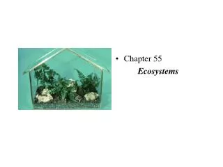 Chapter 55 Ecosystems