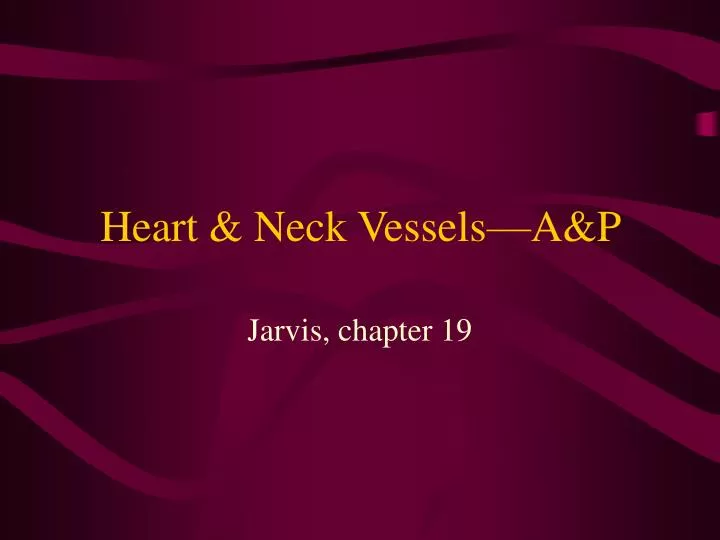 heart neck vessels a p