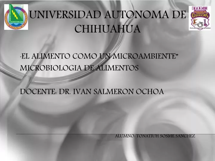 universidad autonoma de chihuahua