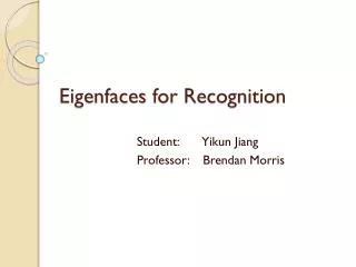 Eigenfaces for Recognition