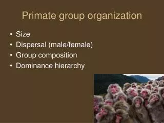 Primate group organization