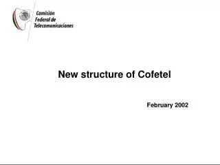 New structure of Cofetel February 2002