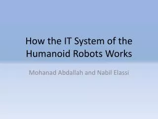 How the IT System of the Humanoid Robots Works
