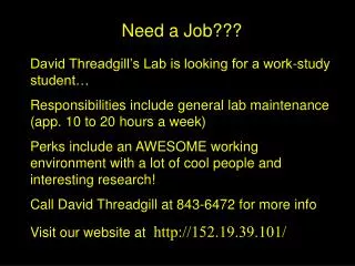 Need a Job???