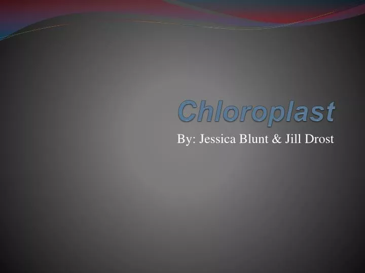 chloroplast