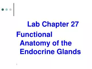 Lab Chapter 27 Functional Anatomy of the Endocrine Glands