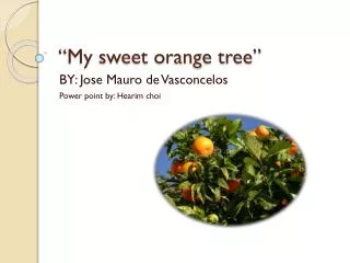 “My sweet orange tree”