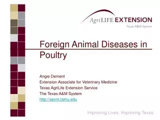 Foreign Animal Diseases in Poultry Angie Dement Extension Associate for Veterinary Medicine