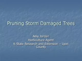 Pruning Storm Damaged Trees