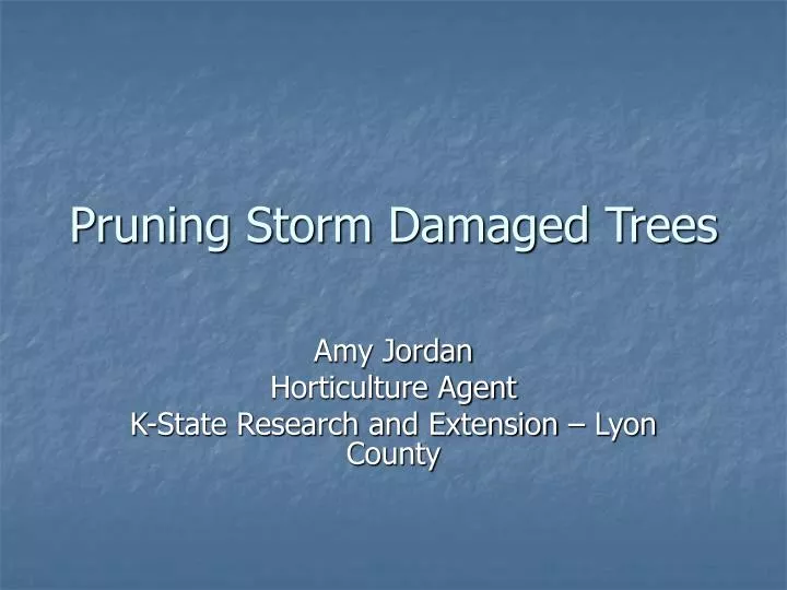 pruning storm damaged trees