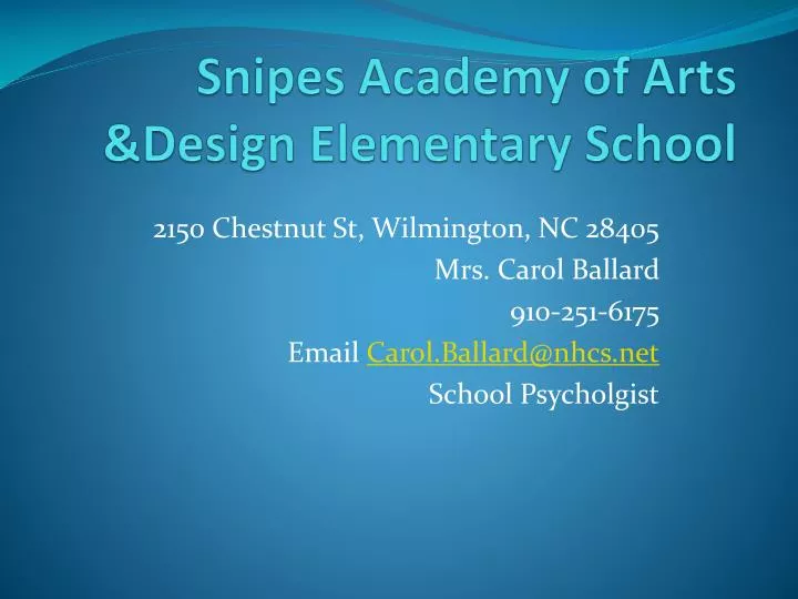 snipes academy of arts design elementary school