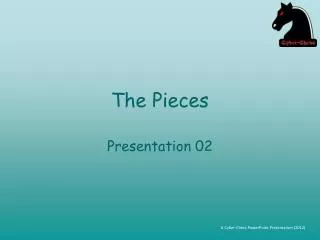 The Pieces