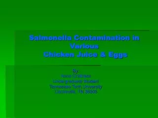 Salmonella Contamination in Various Chicken Juice &amp; Eggs